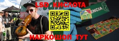 крисы Моздок