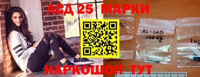 крисы Моздок