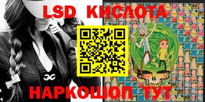 крисы Моздок
