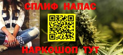 крисы Моздок
