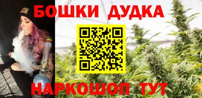 крисы Моздок