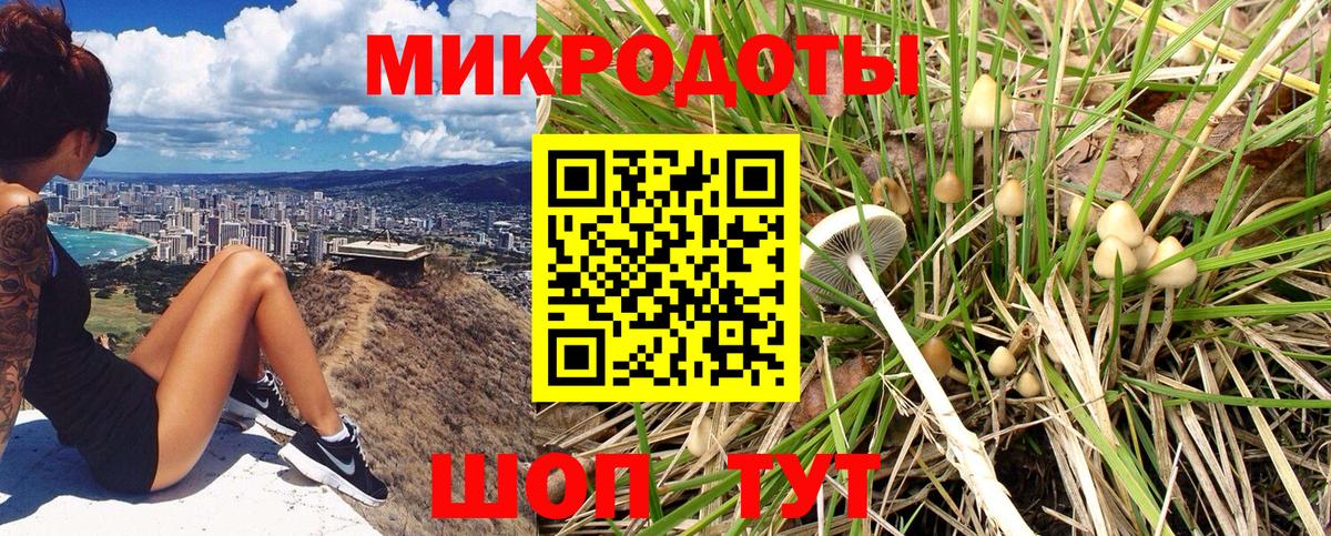 закладка  Галлюциногенные грибы прущие грибы  Северск  Вход с VPN  Псилоцибиновые грибы Psilocybine cubensis 