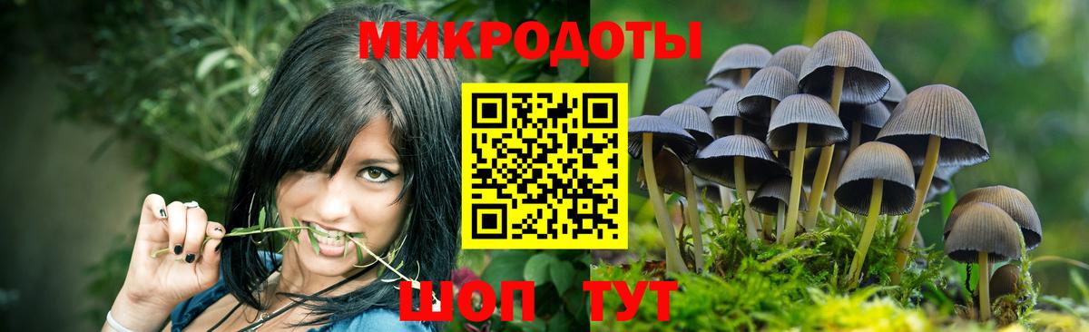 Галлюциногенные грибы MAGIC MUSHROOMS Северск